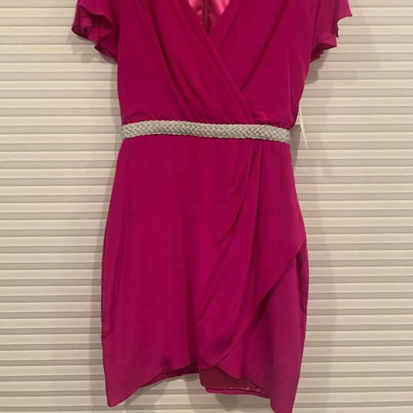 Badgley Mischka Mark & James Fuchsia Dress, Size 4 - Picture 6 of 6